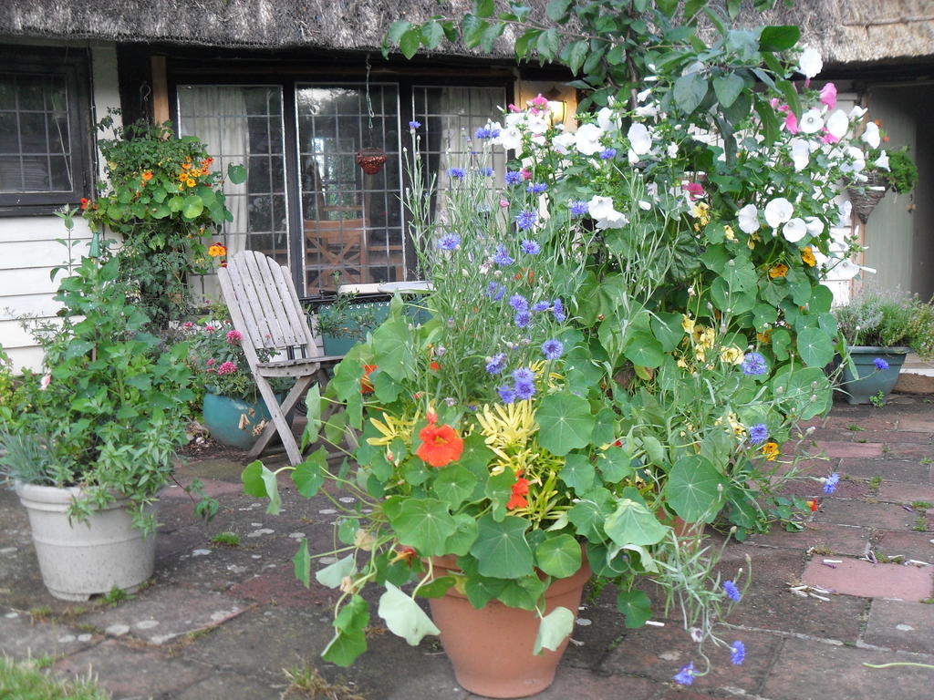 Church Hall Farm Bed And Breakfast Broxted Eksteriør billede